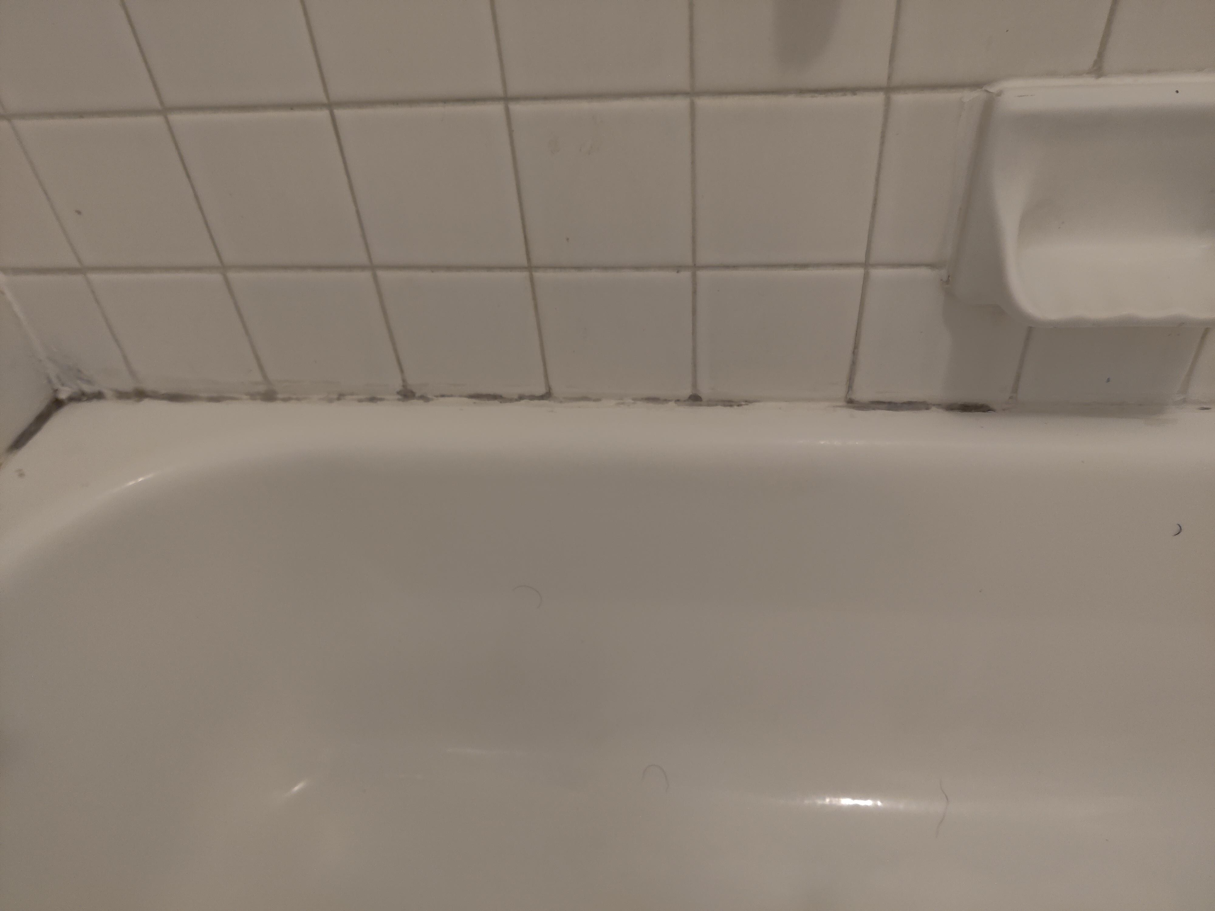 Mold in bathroom shower 