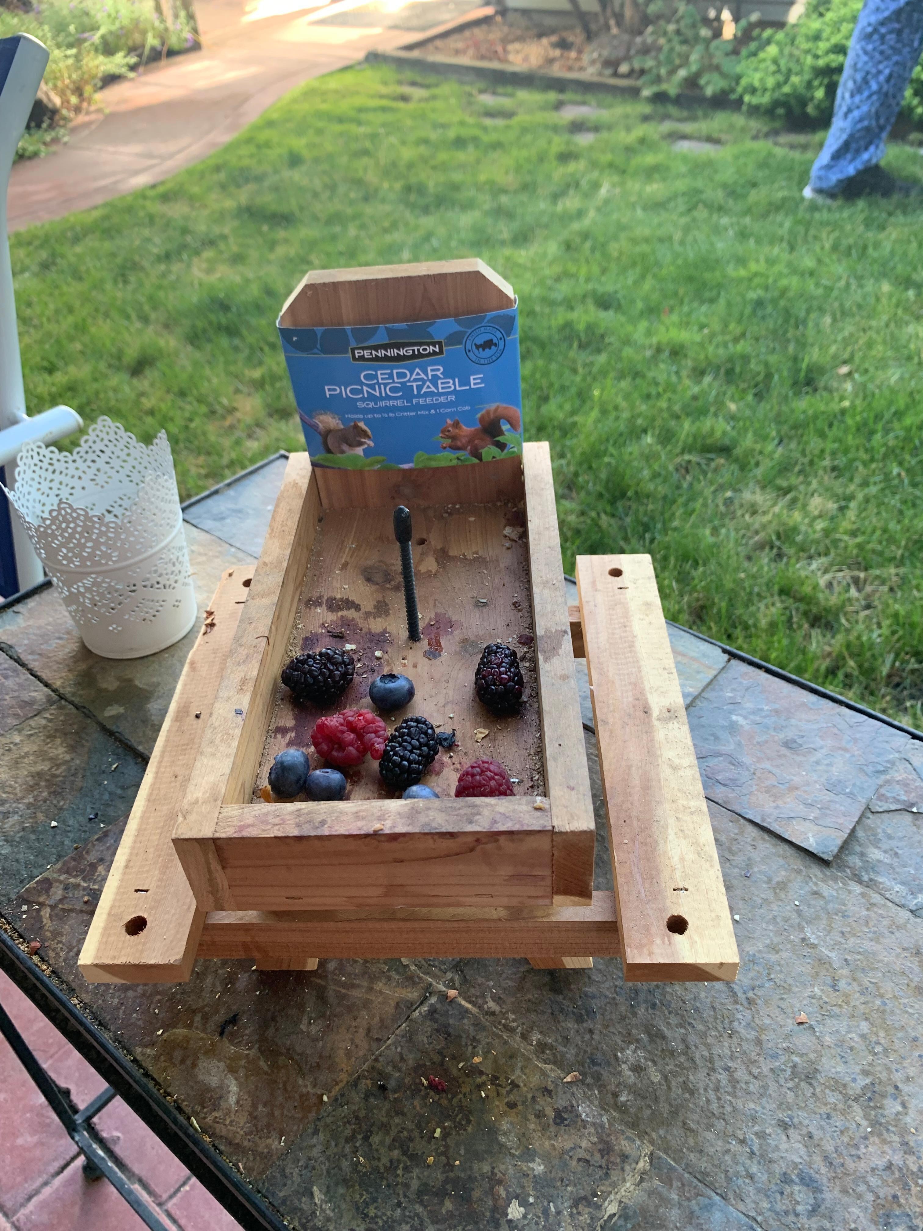 Squirrel’s picnic table 