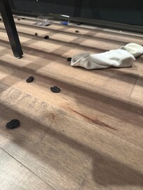 Under master bed. Not my sock