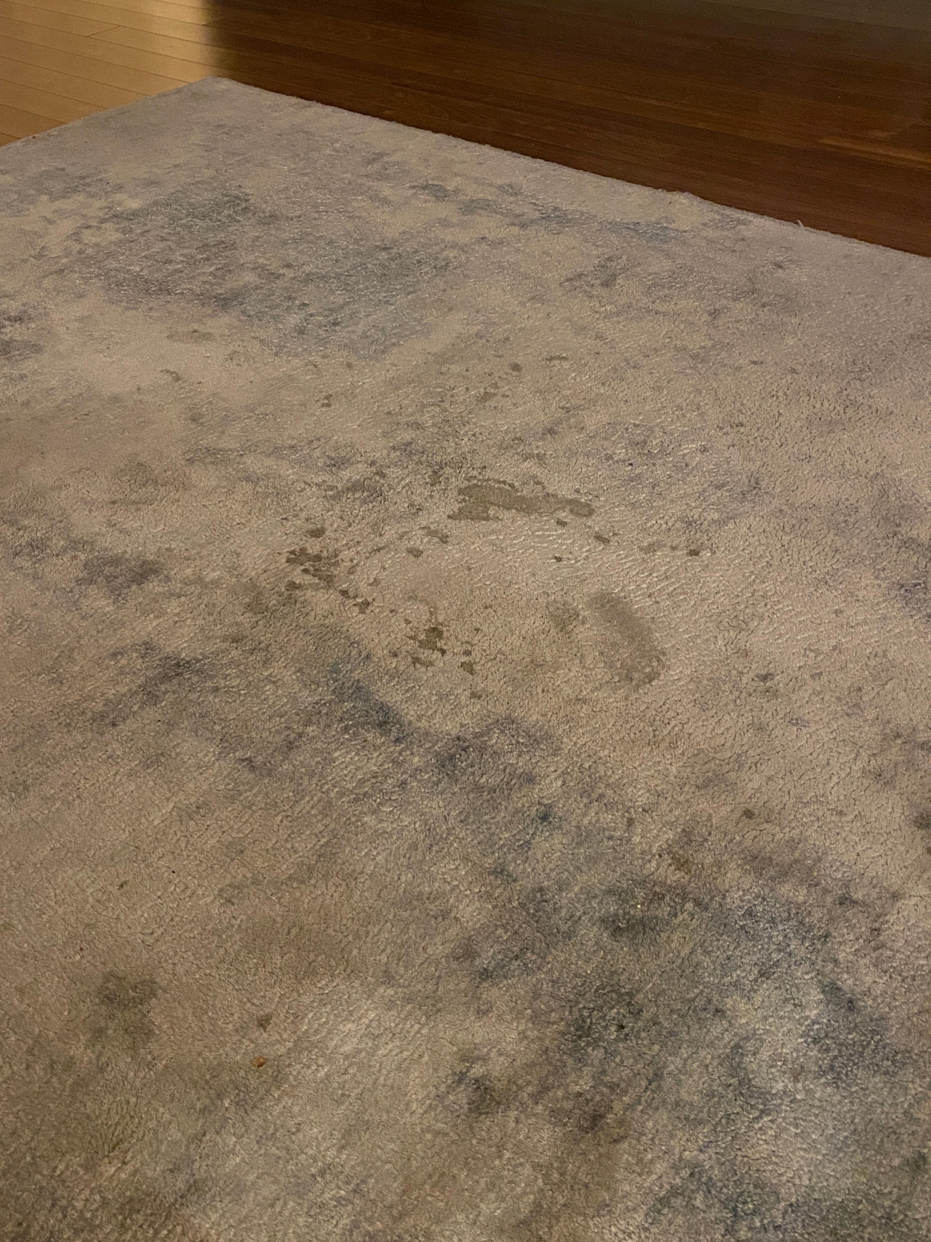 Filthy living room rug