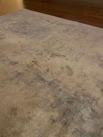 Filthy living room rug