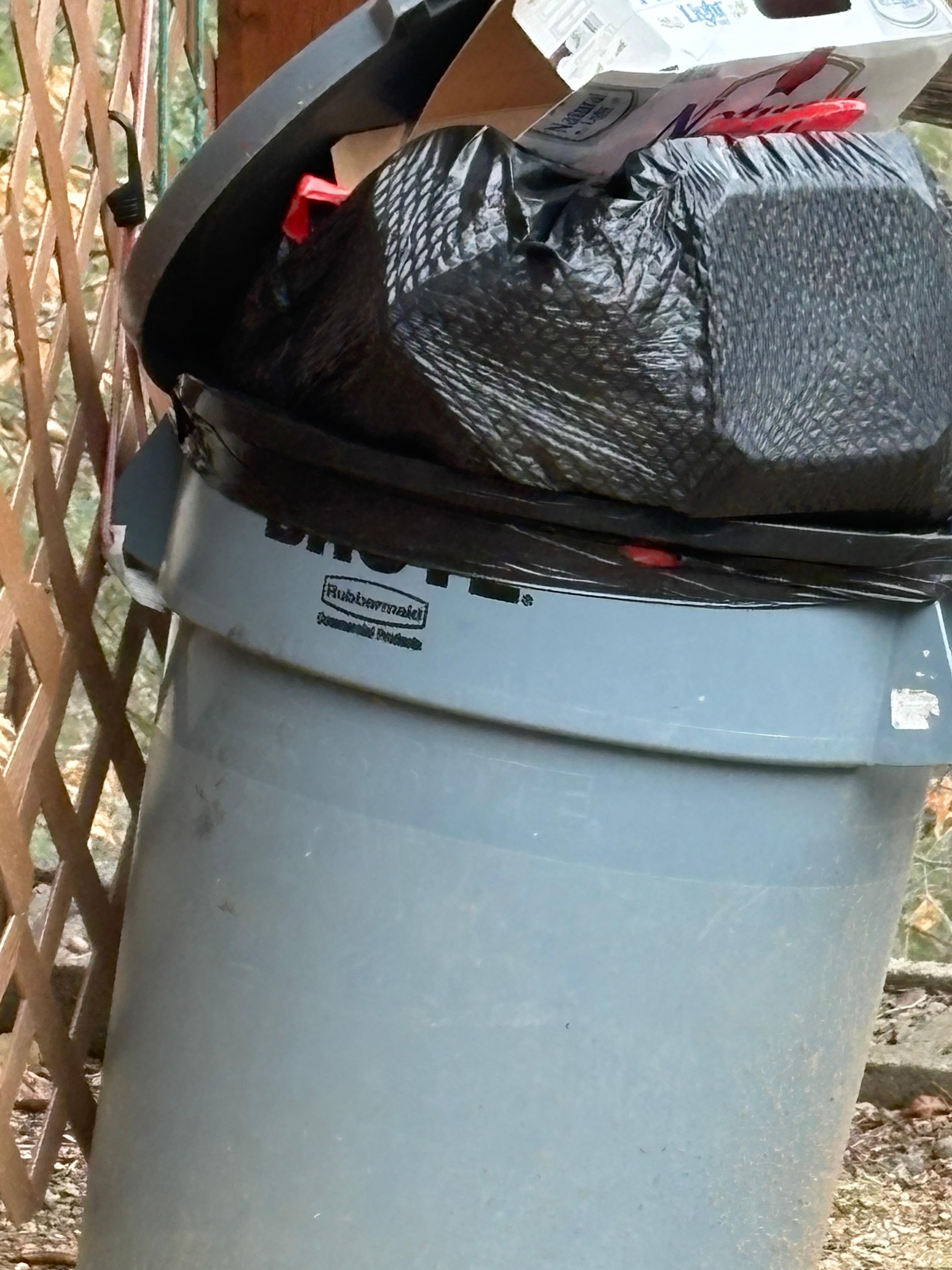 Obviously not a bear proof garbage area