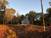 Sunrise on the pine trees.