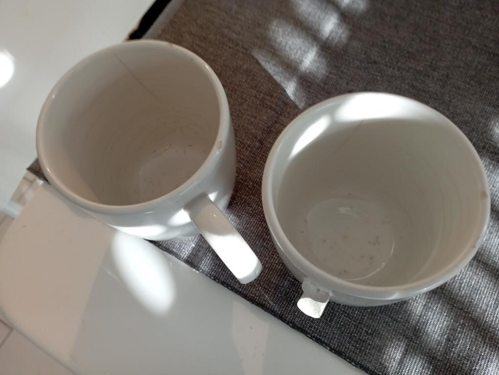 état des mugs