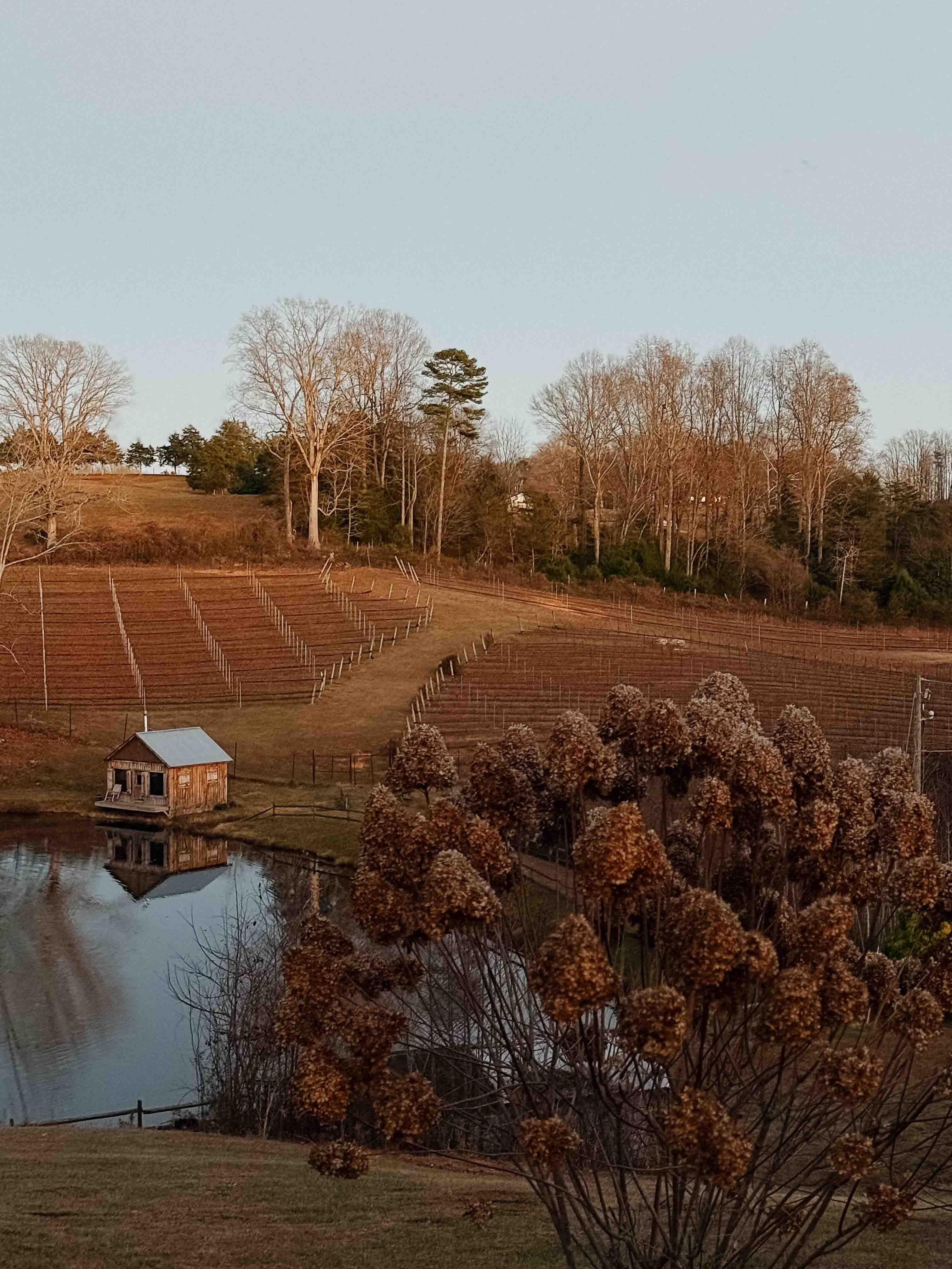 A lovely winery/vineyard about 17minute drive away called JOLO Winery