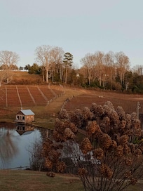 A lovely winery/vineyard about 17minute drive away called JOLO Winery