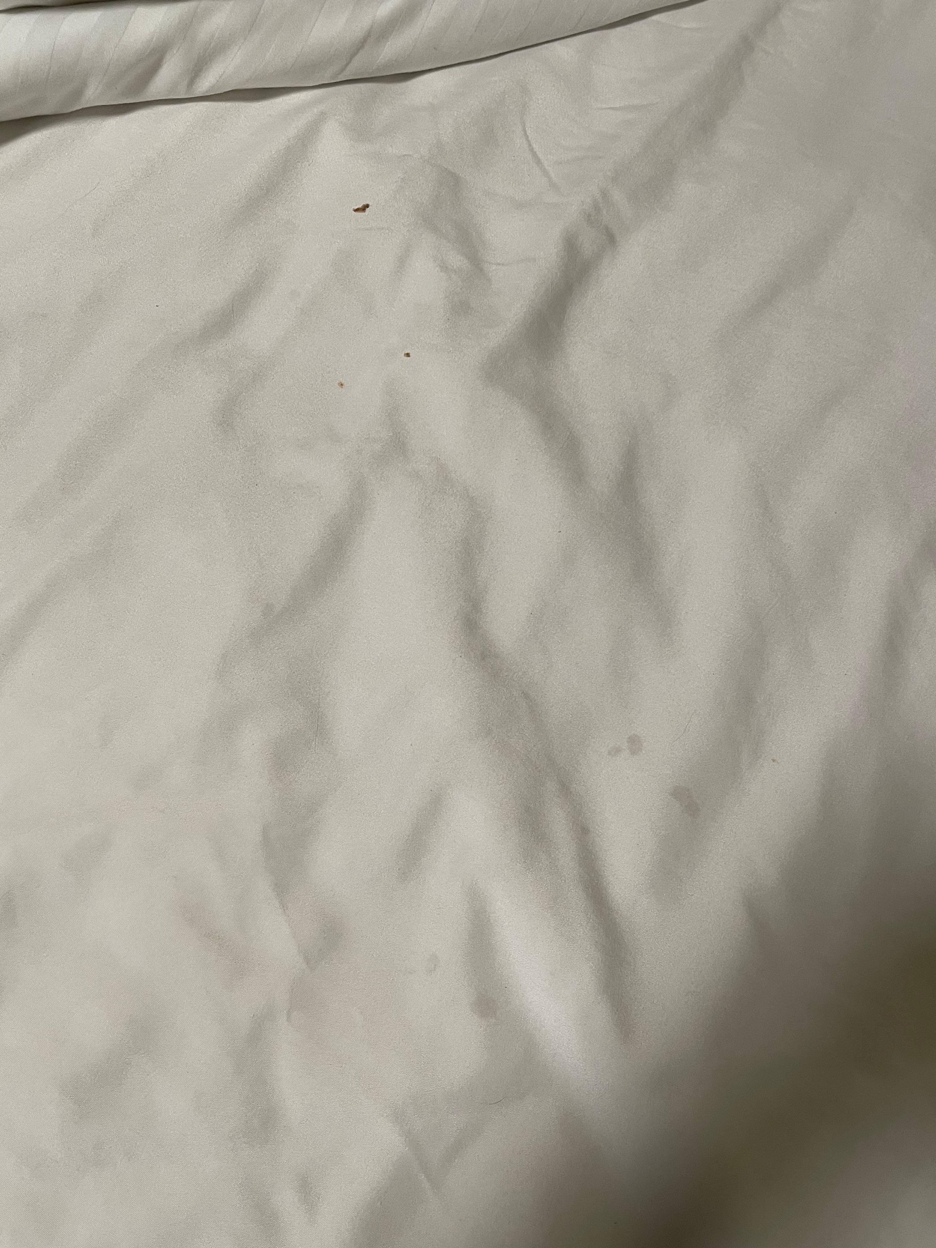 Dirty sheets with particles and stains - the front office was very friendly at 10 pm and provided me with new “clean” sheets I still had to throughly check alllll the bed after this!