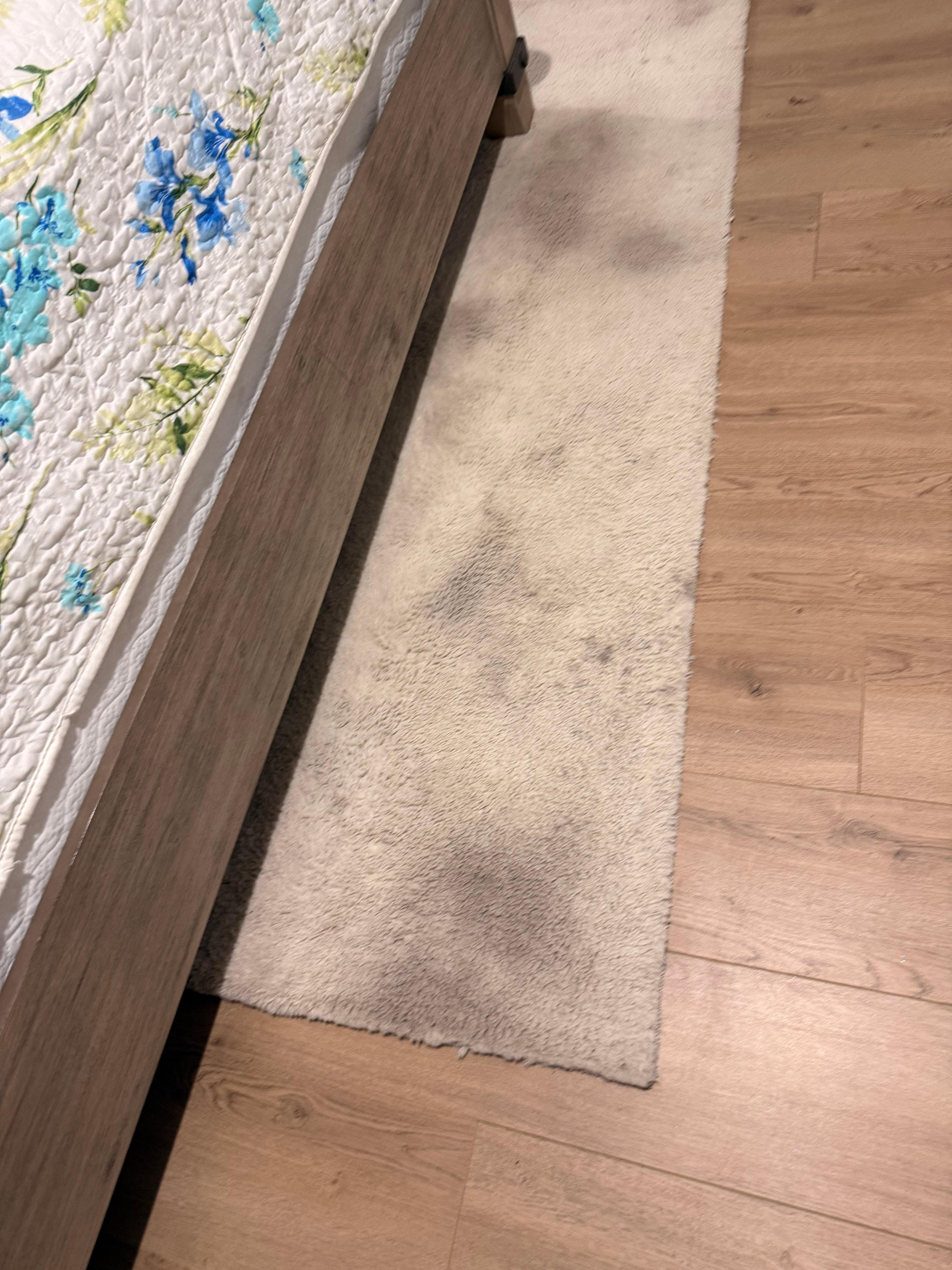 Stained rug in bedroom 