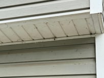 Cobwebs