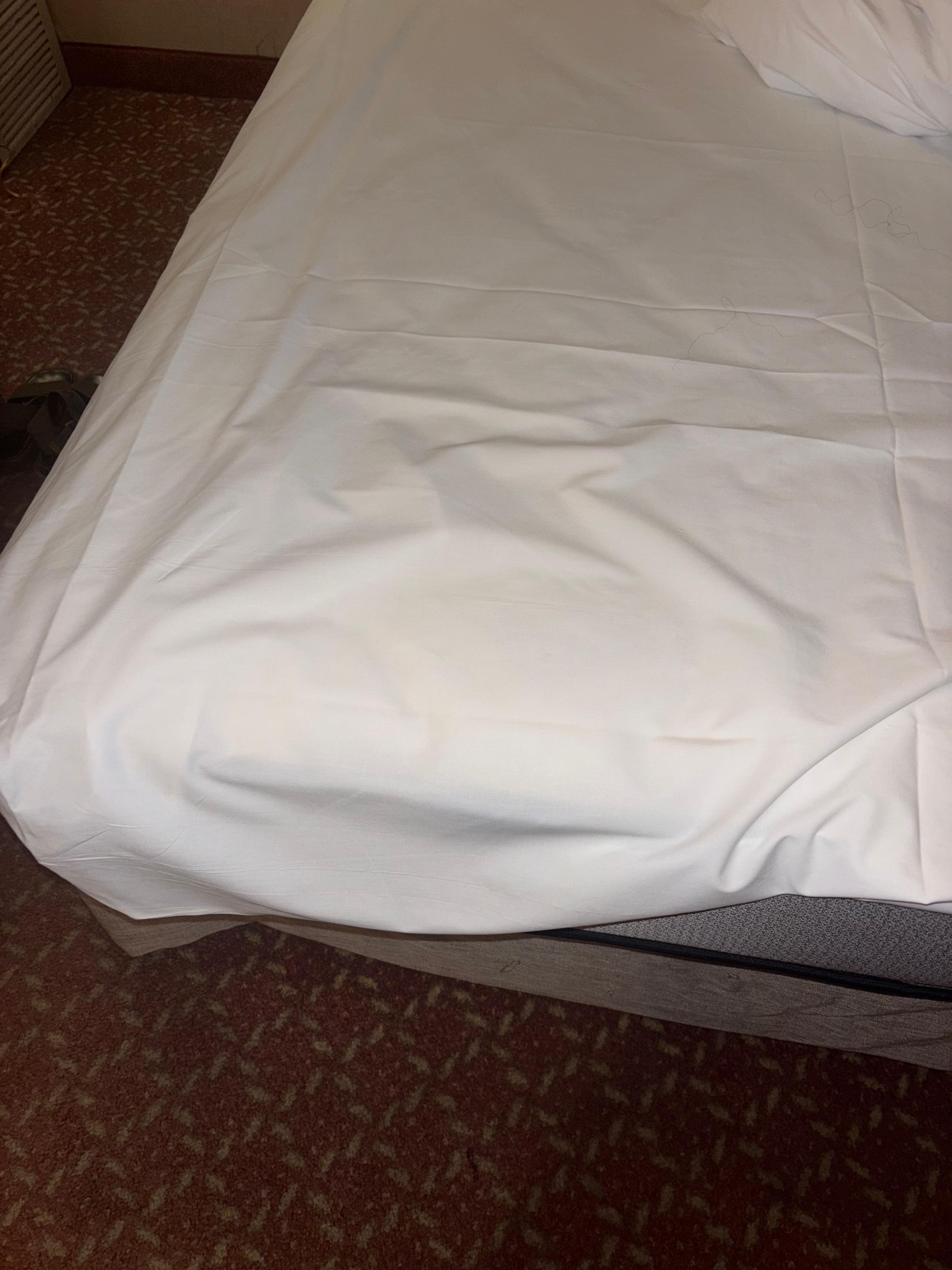 Flat sheet with no fitted sheet present. Pillows not on bed (not in photo) 