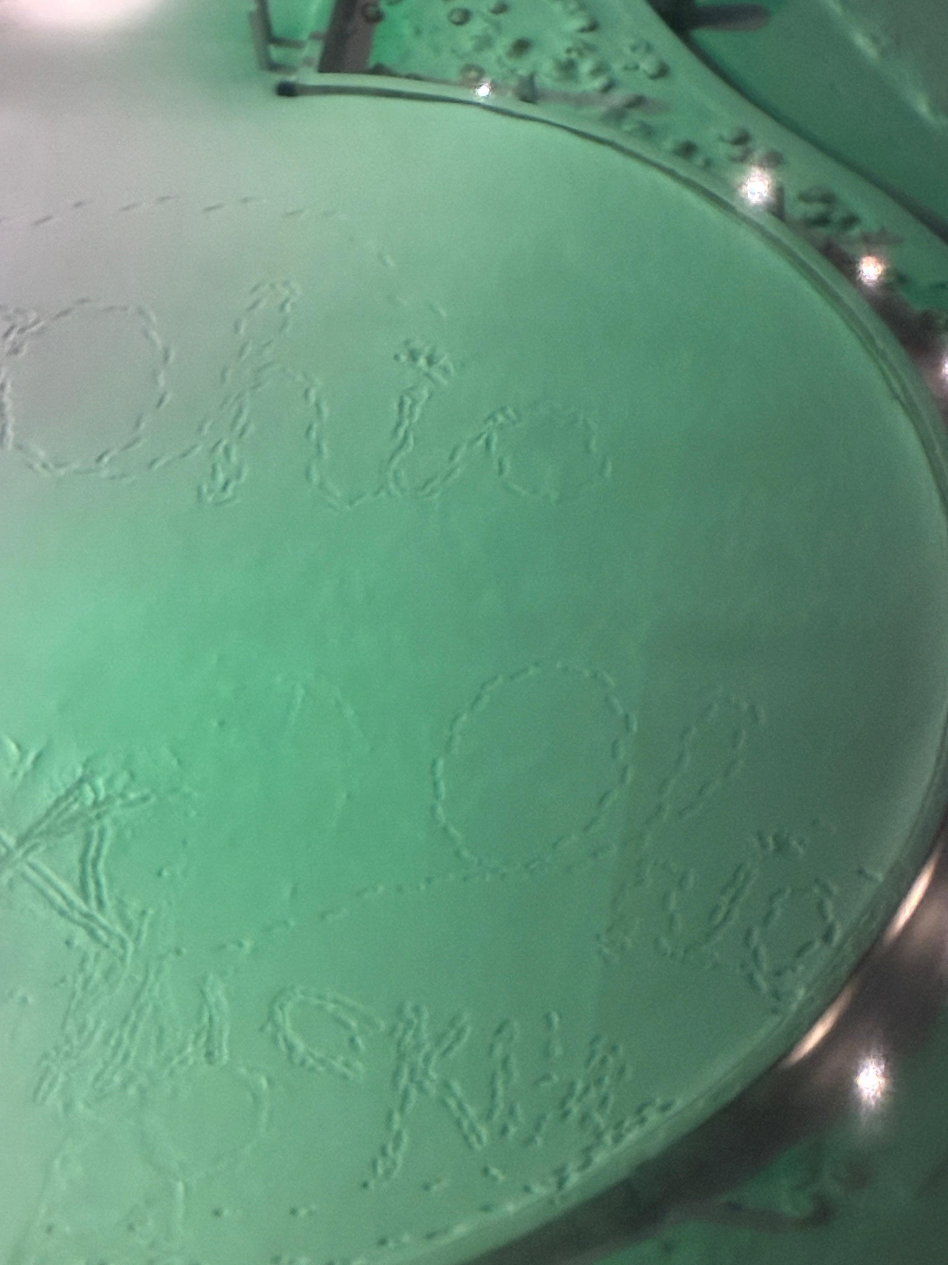 Just a little Ohio fun some kids were having. I thought it was cool.