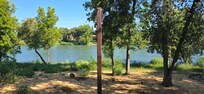 Sacramento River in back