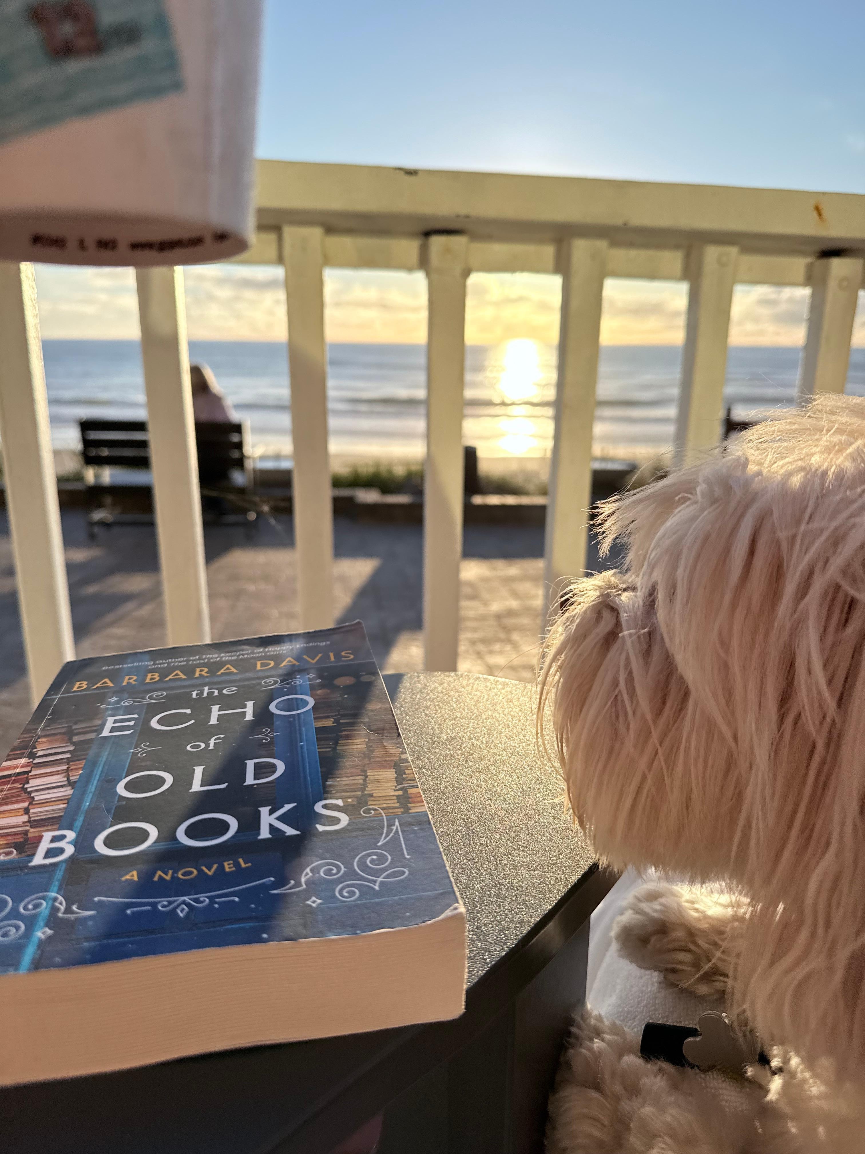 The view from the deck