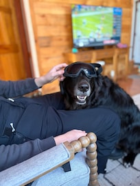 Hank ready for the slopes!