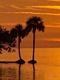 Crystal River State Park
Sunset Cruise, right down the road!