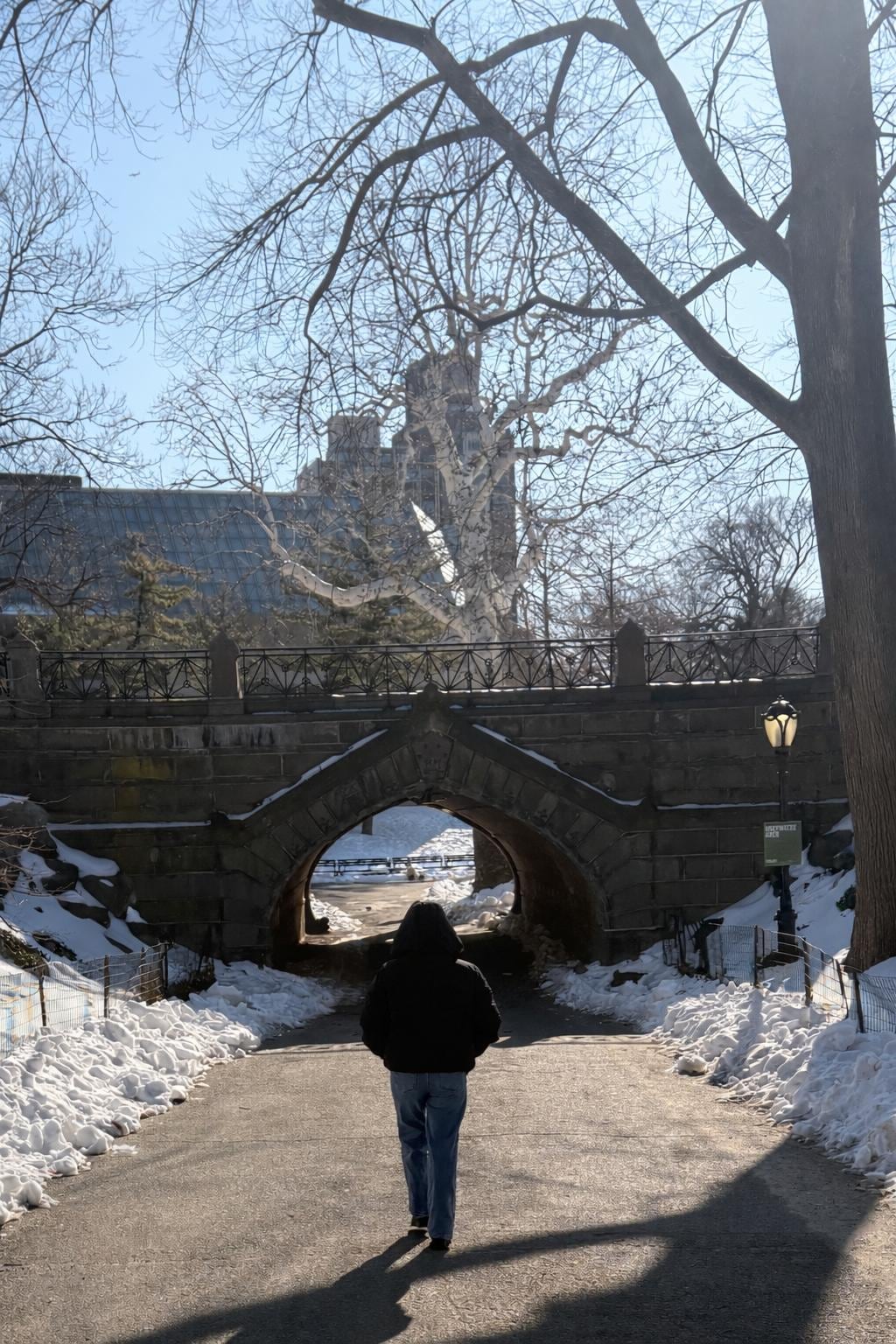 Central Park!