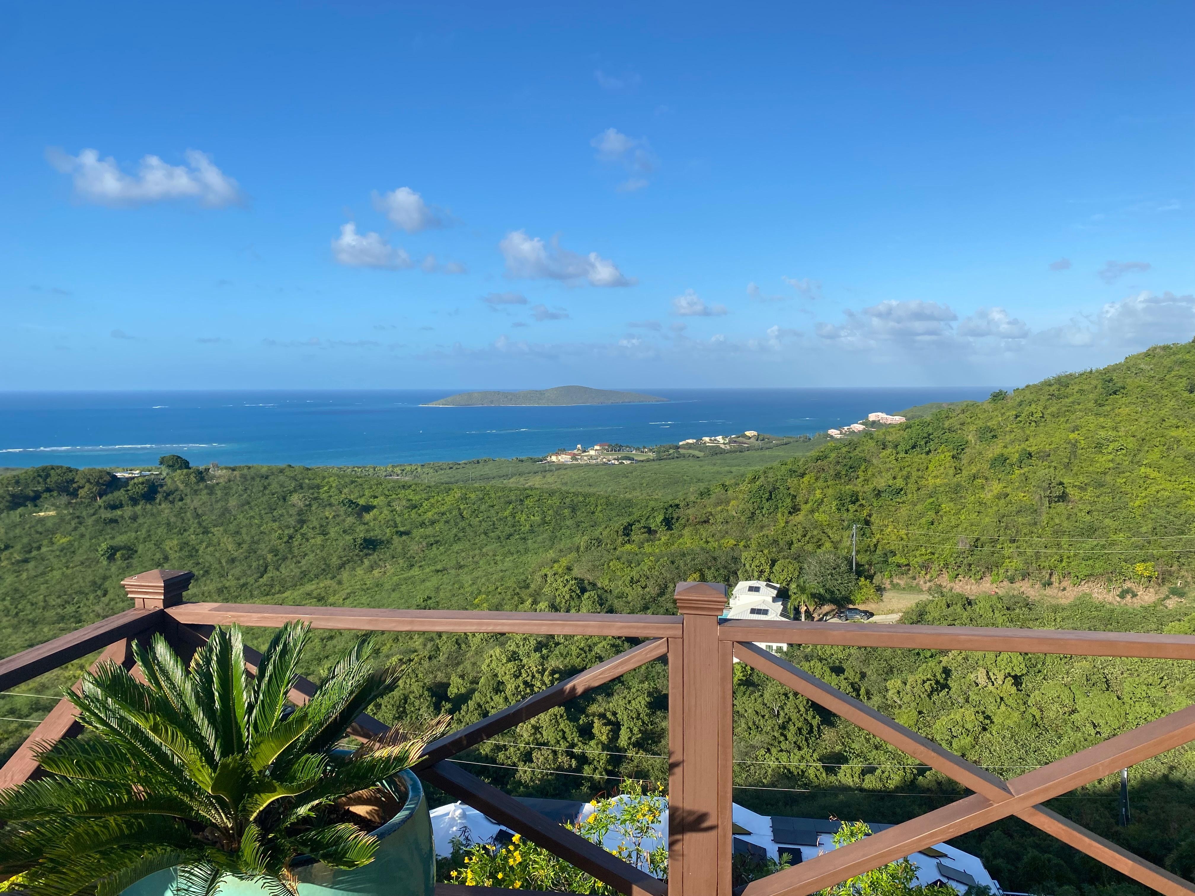 Views from the house