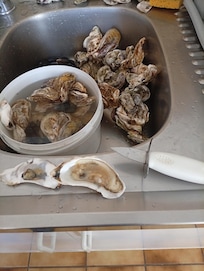 Les huîtres sont excellentes