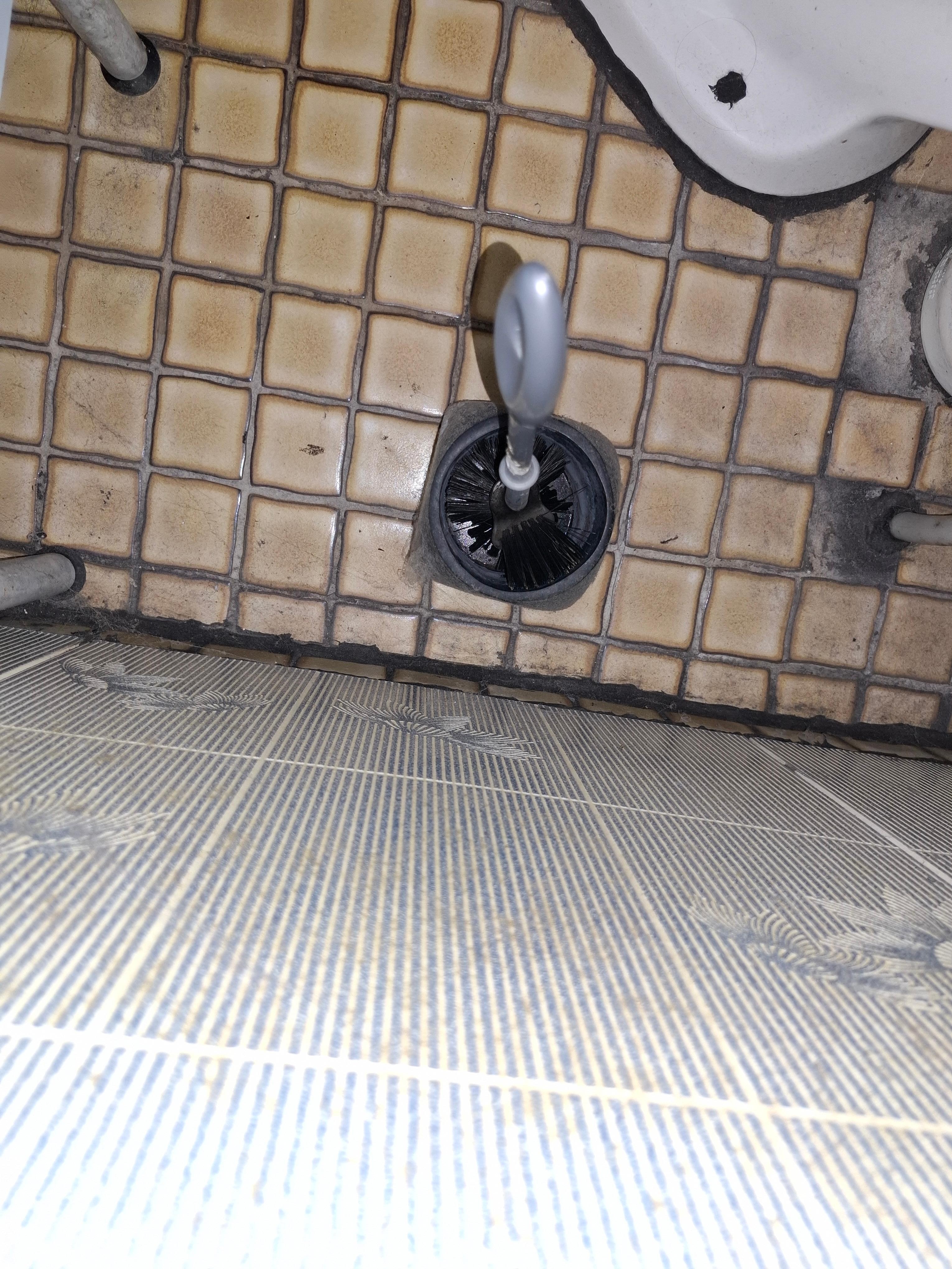 Die Bürste würde ich beim besten Willen nicht anfassen