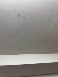 Mold