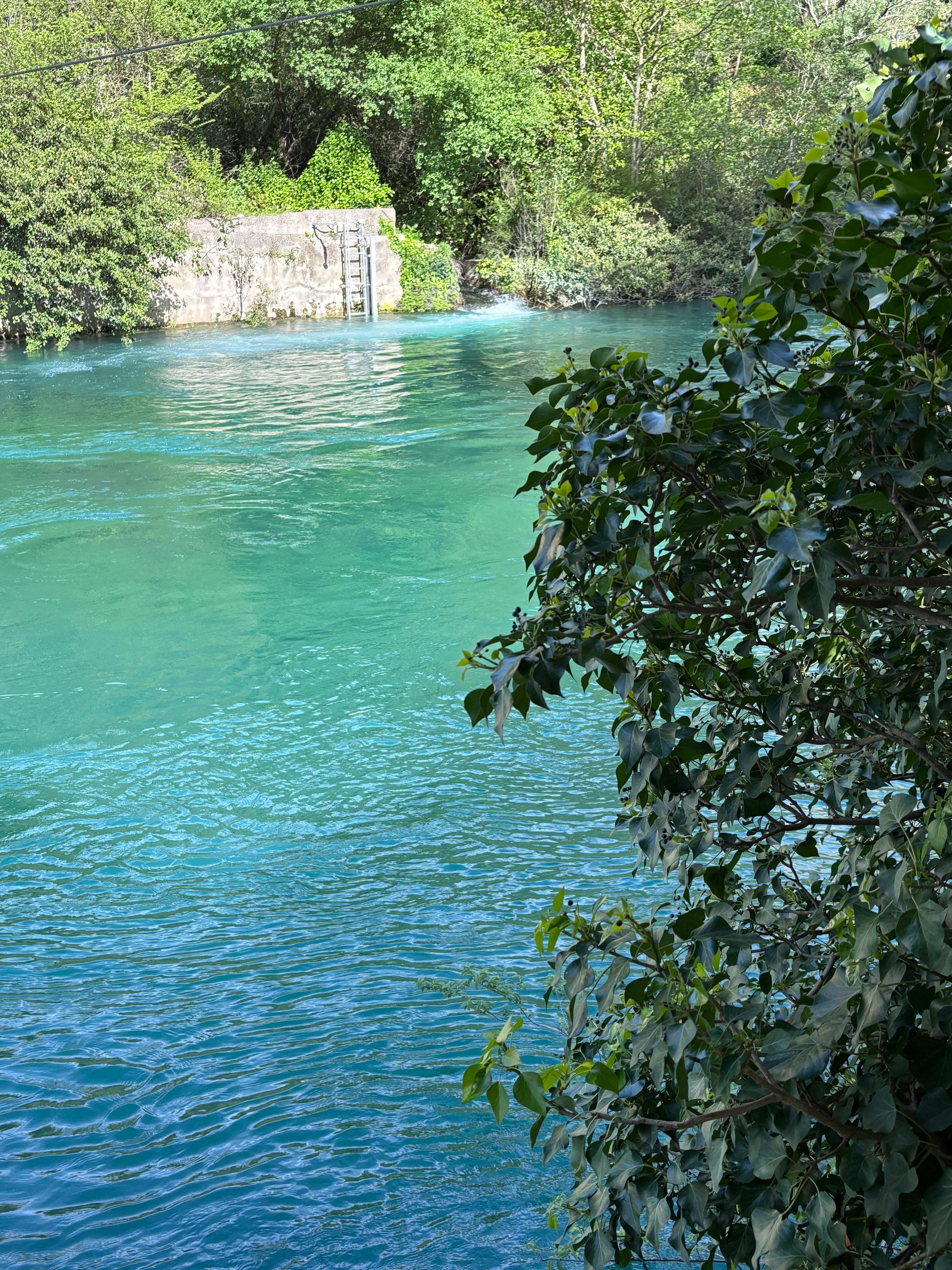 Fontaine de Vaucluse 