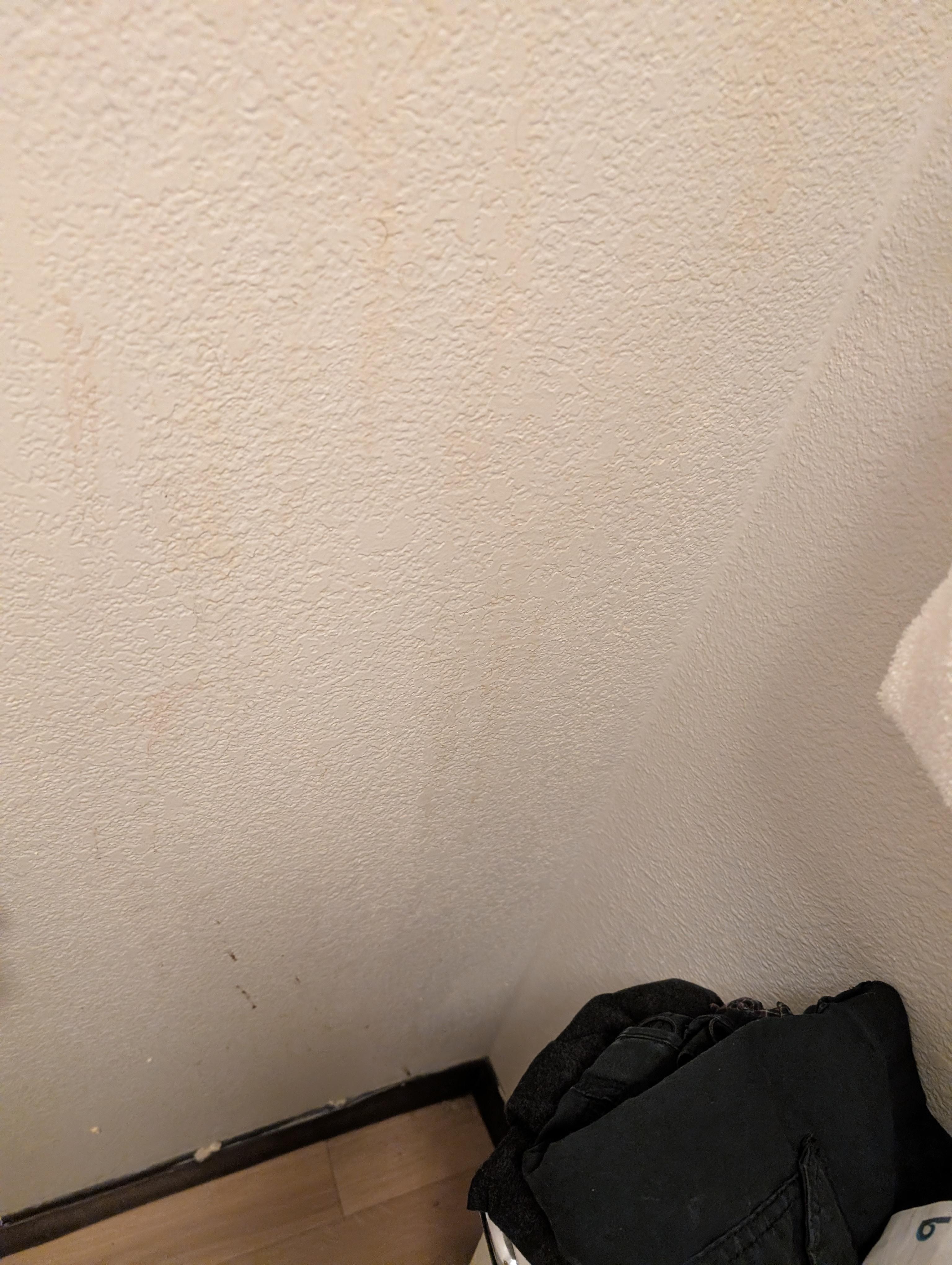 Bathroom wall (gross)