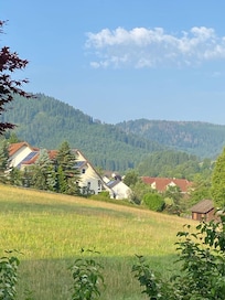 Views from the house.