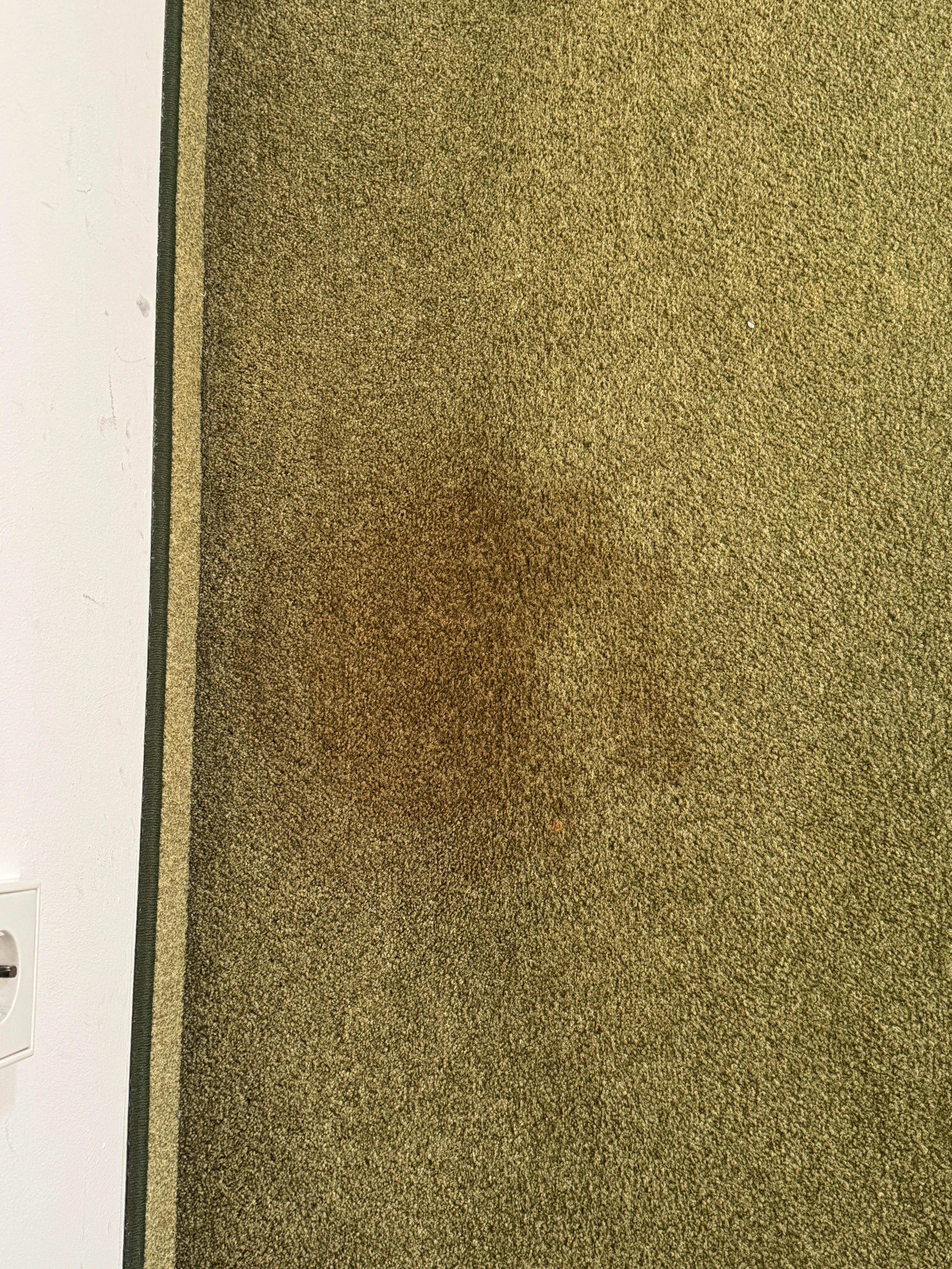 Bodenbelag Zimmer unter Wandspiegel 