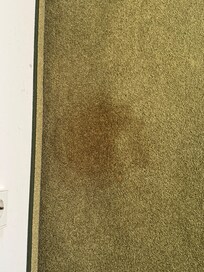 Bodenbelag Zimmer unter Wandspiegel