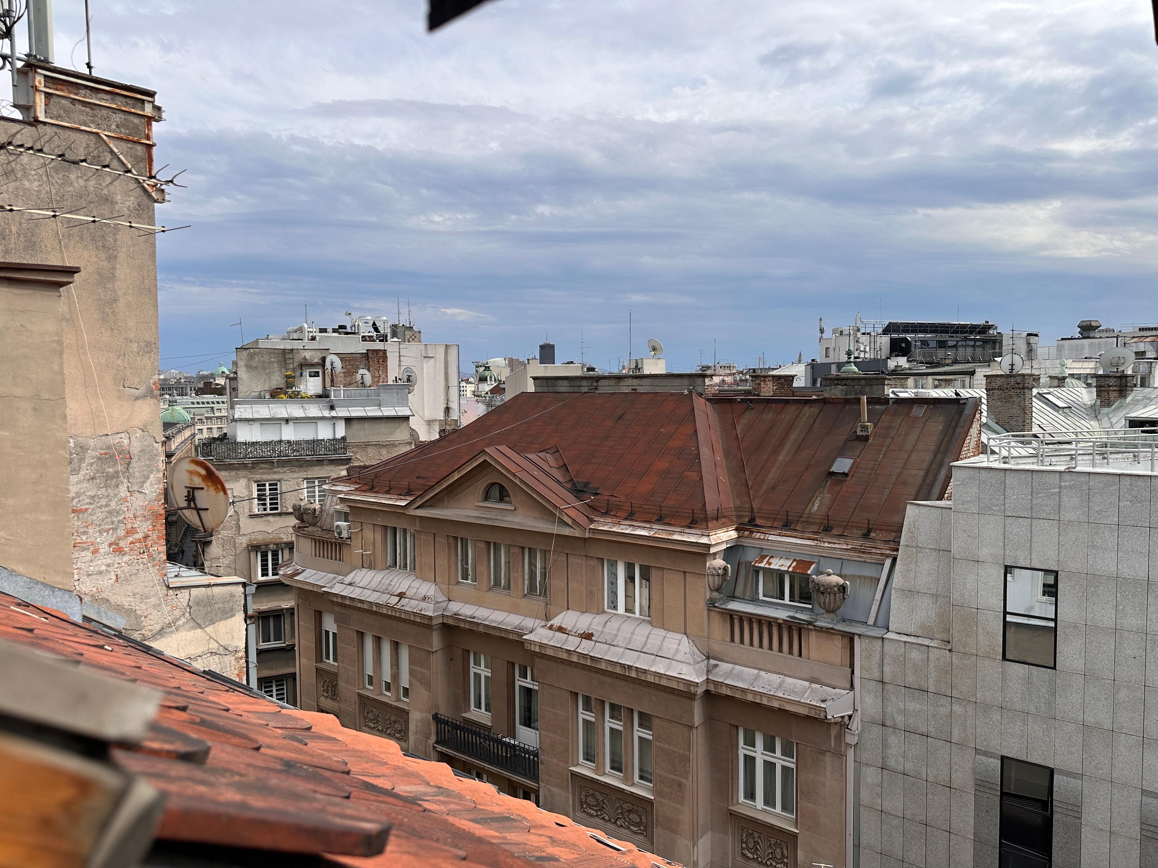 View from the kitchen skylight window.