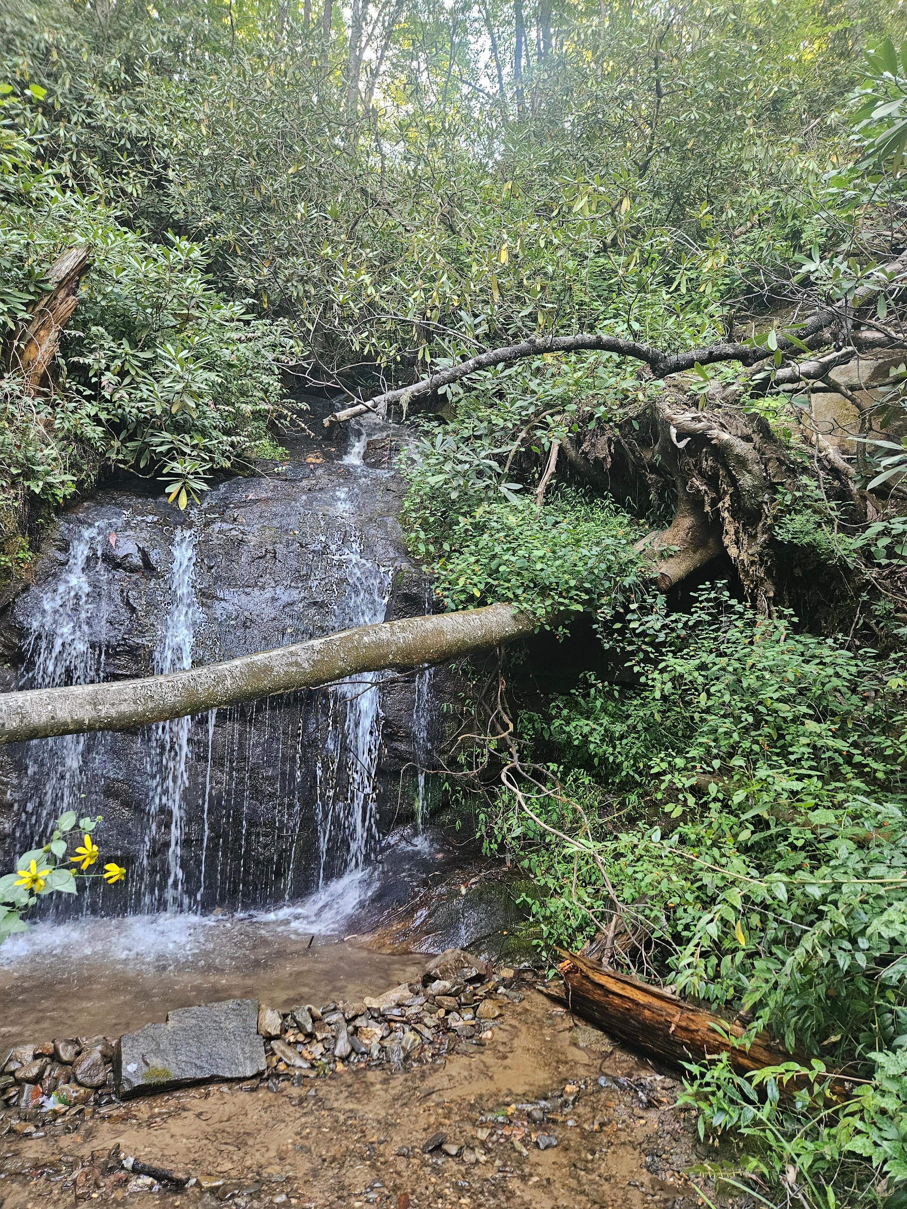 The additional waterfall, across the street, was a nice bonus. 