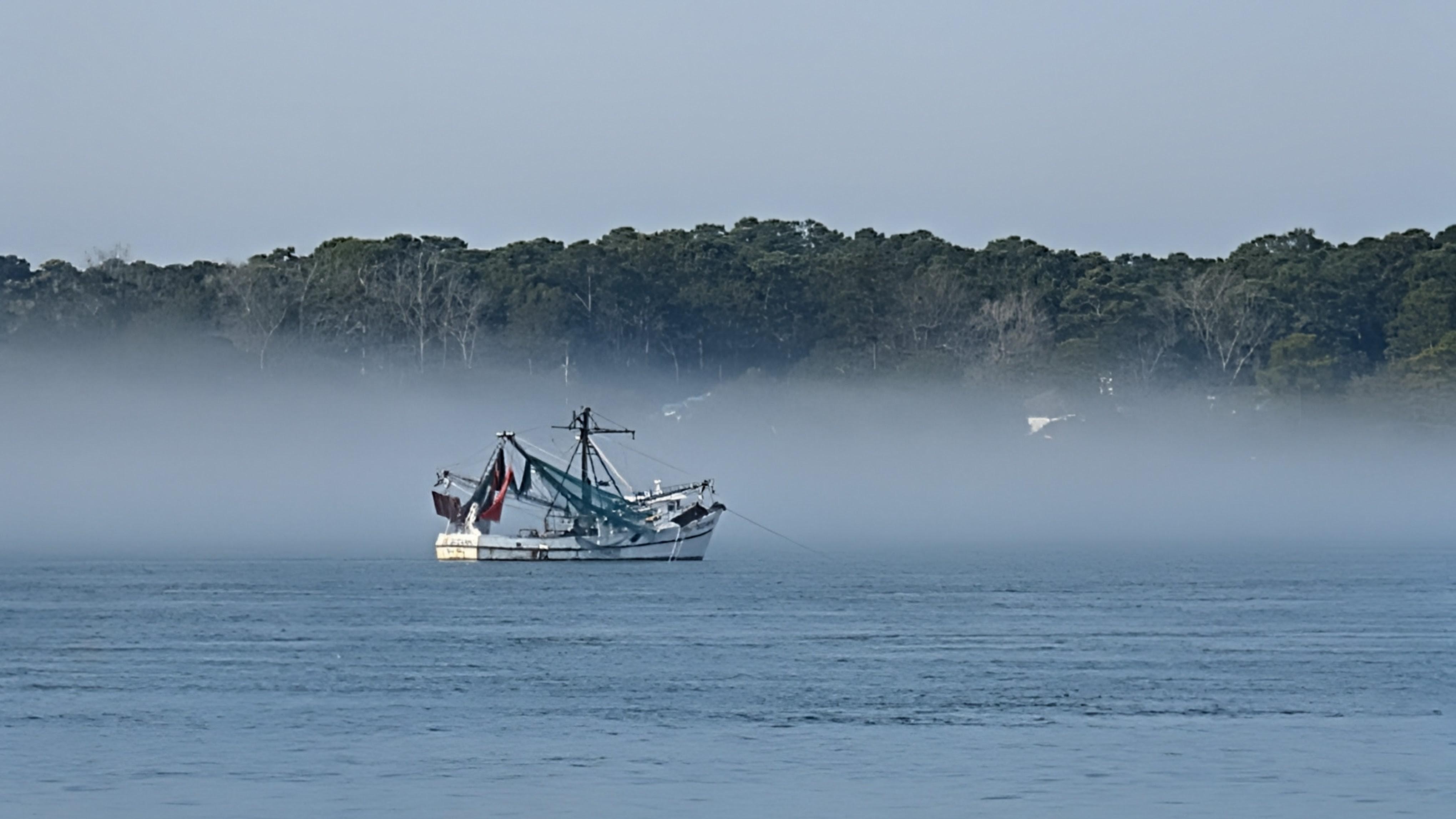 Taken from the patio