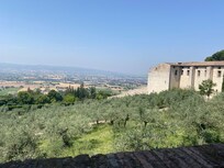 There's no place like Assis!