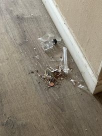 Outside our door in the morning