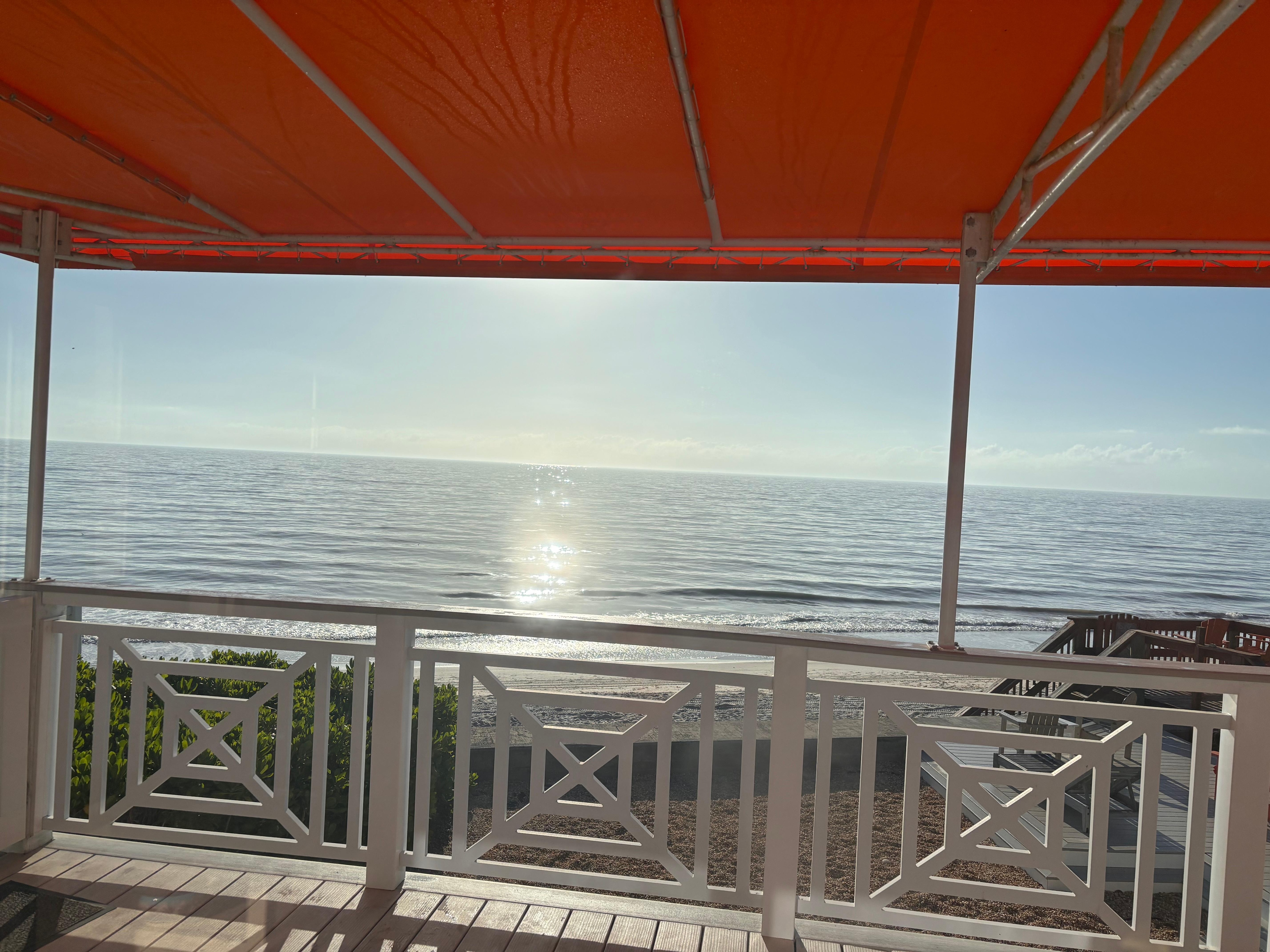 Quant mornings watching sea turtles 