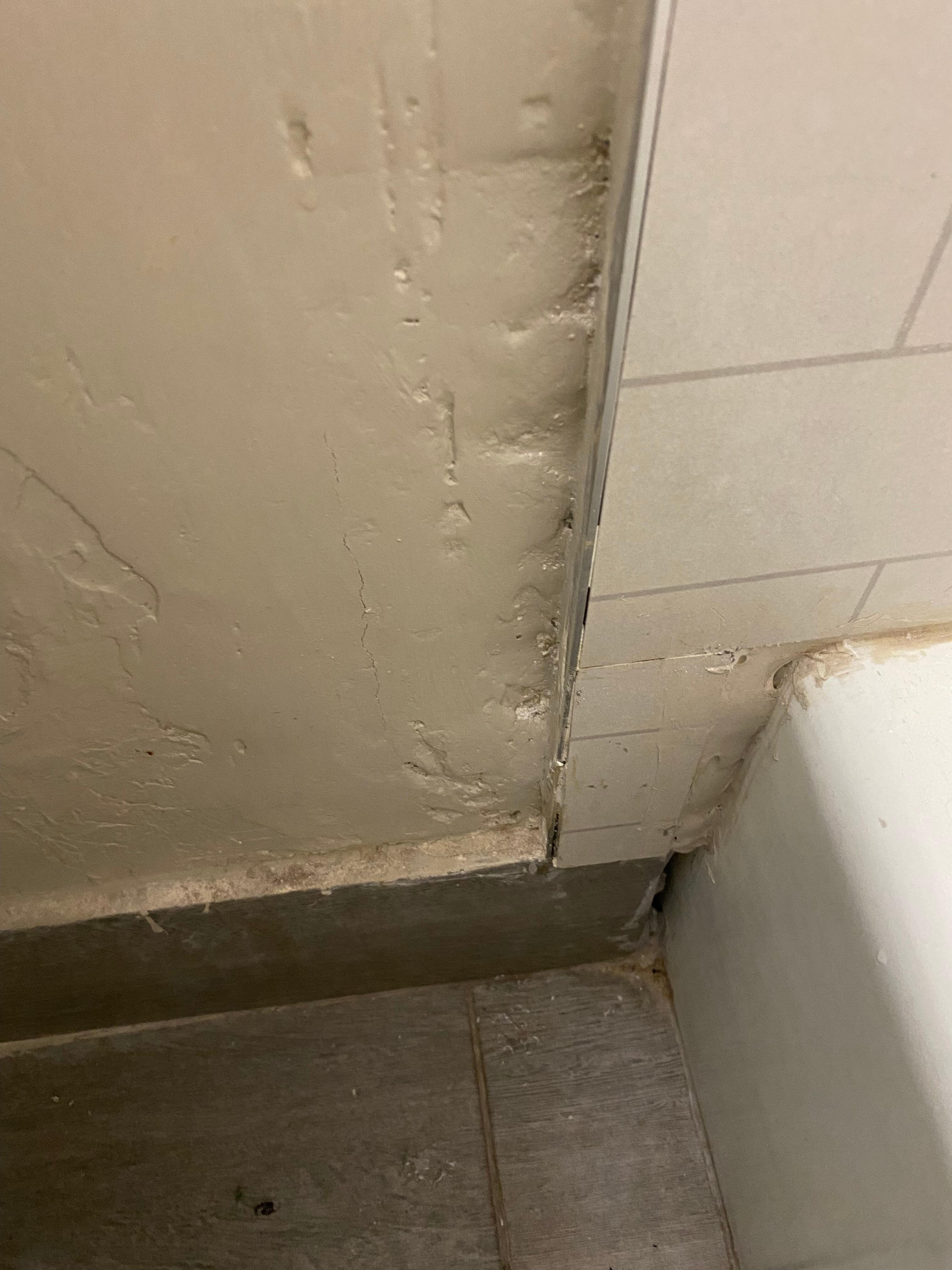 Gaps and mold around shower