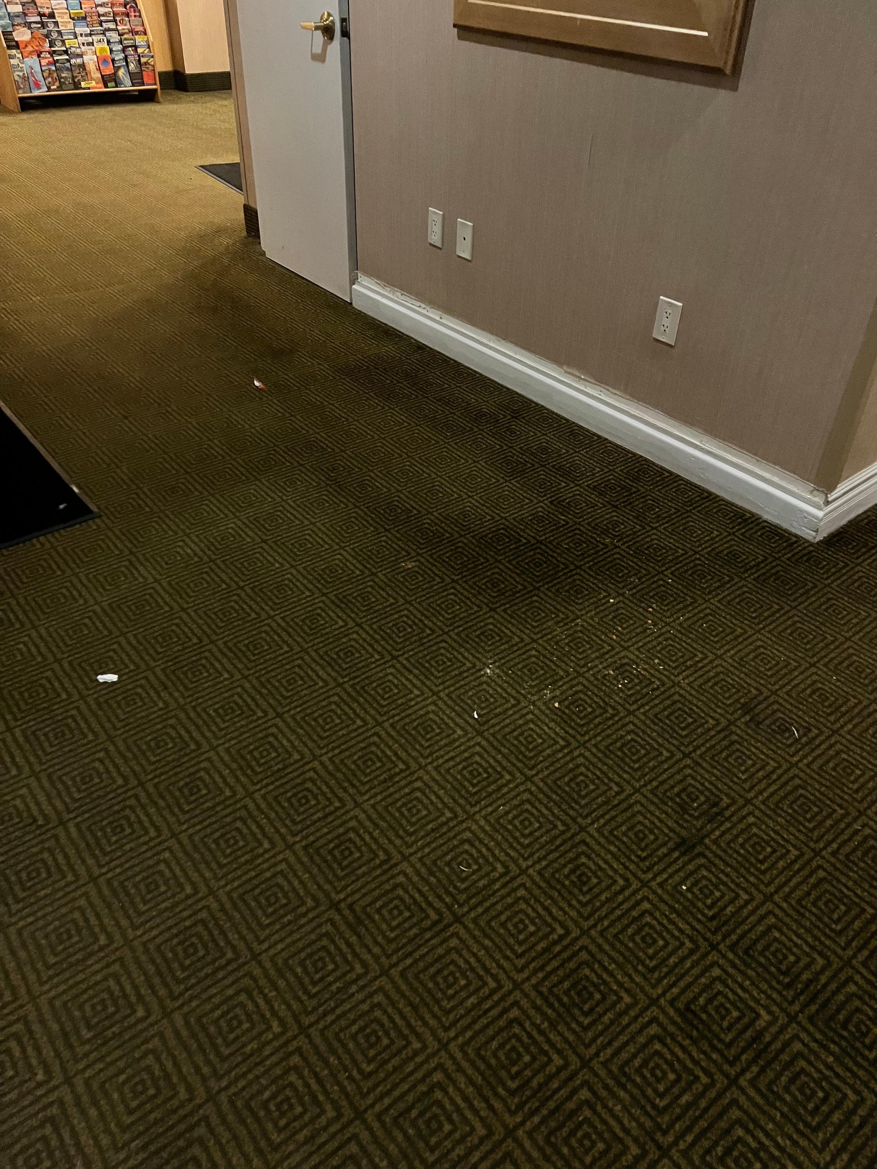 One of many hallways