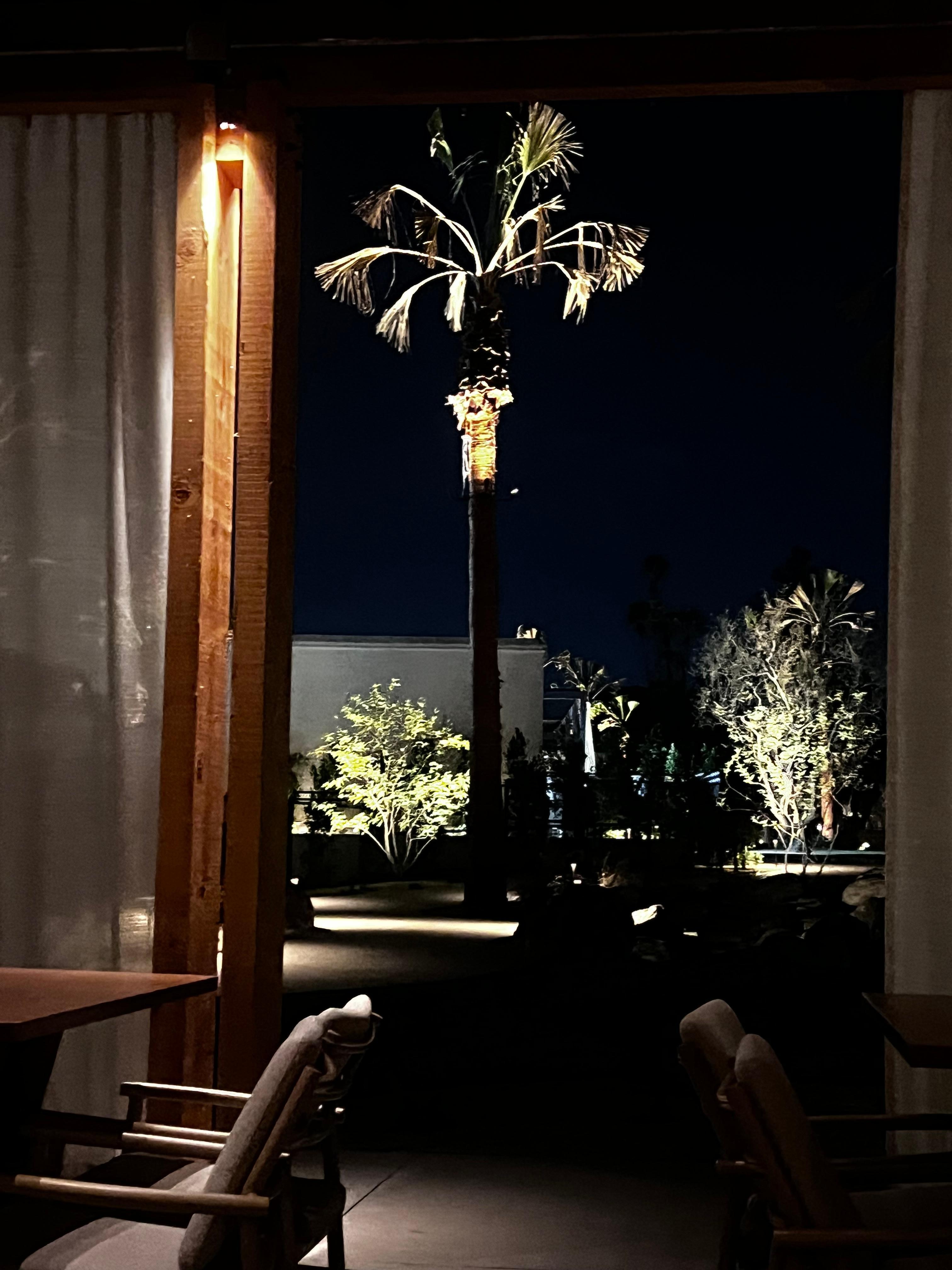 The view from the restaurant at night.. gorgeous ! 