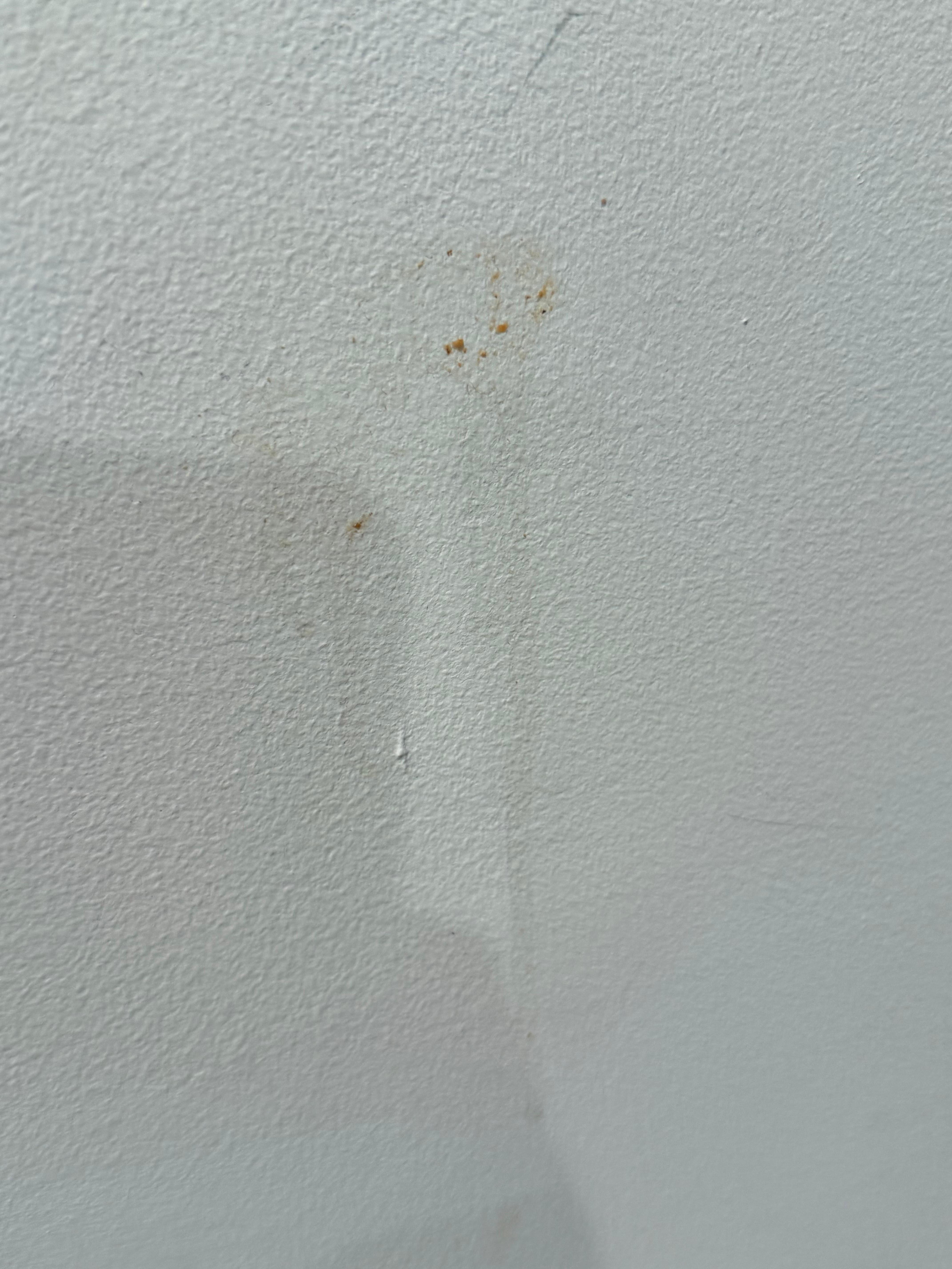 Someone spit on the wall in multiple places and it dripped down
