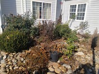 So appealing entrance!