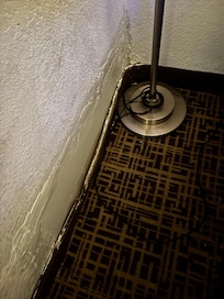 Water leak damage. Two floor lamps in room didn’t work