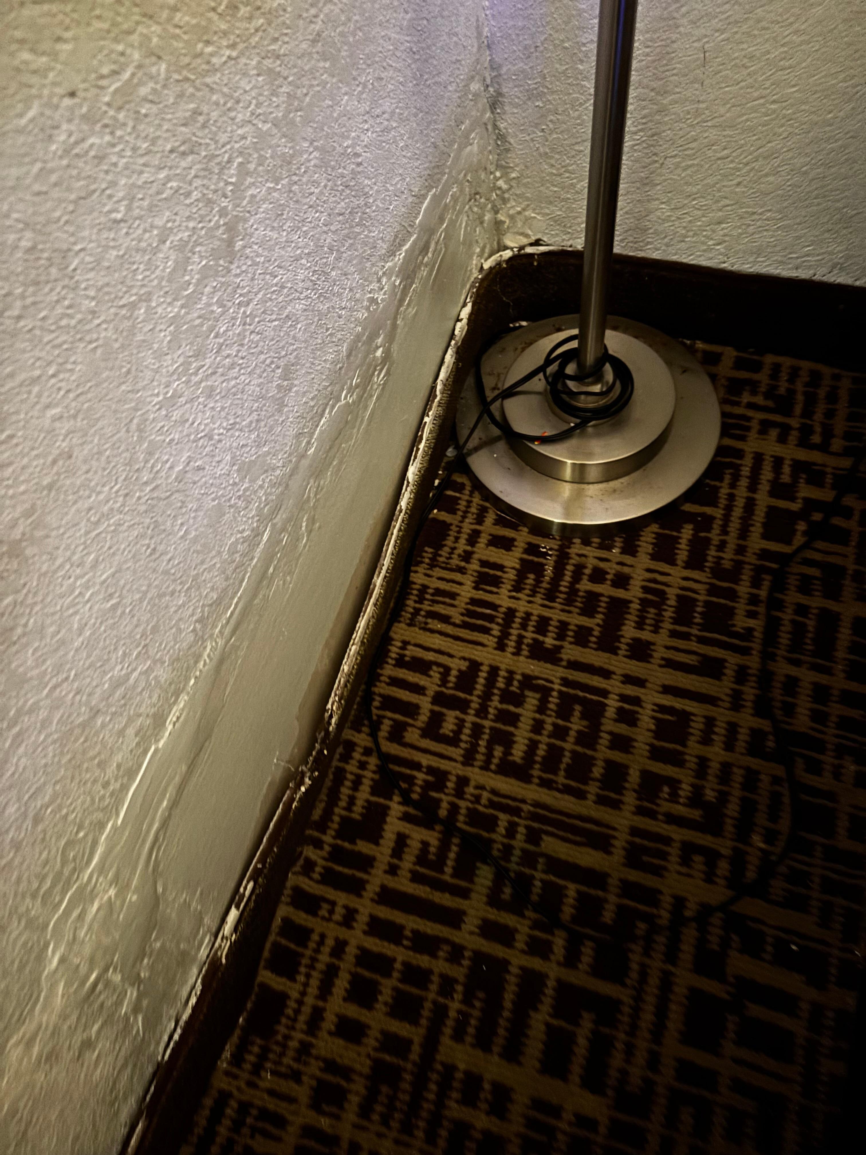 Water leak damage. Two floor lamps in room didn’t work
