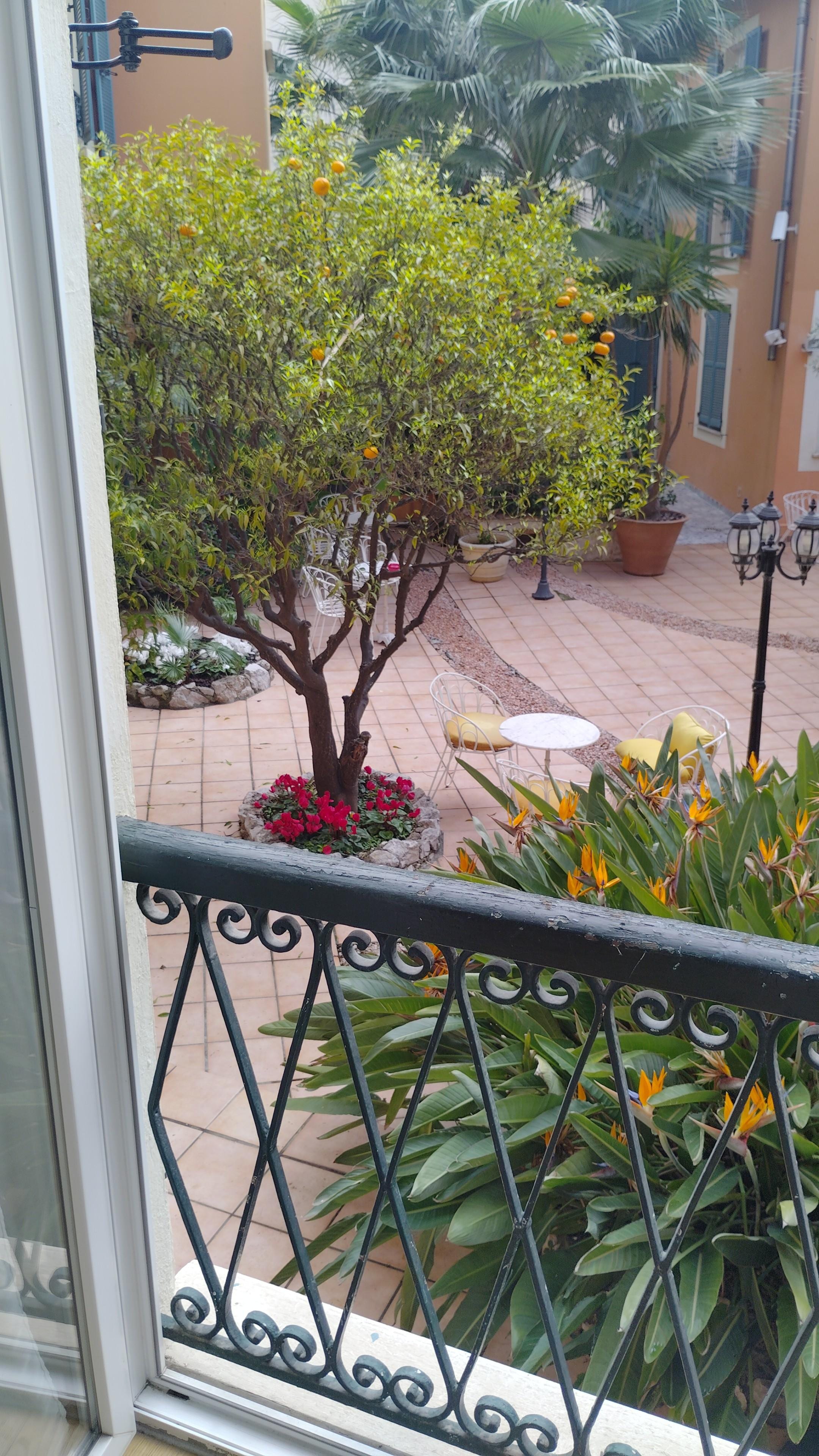 view of the garden from my room