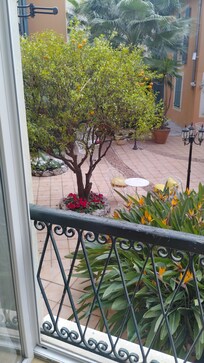 view of the garden from my room