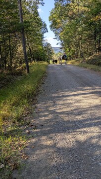 Private lane