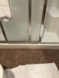 Mold and dirty glass door