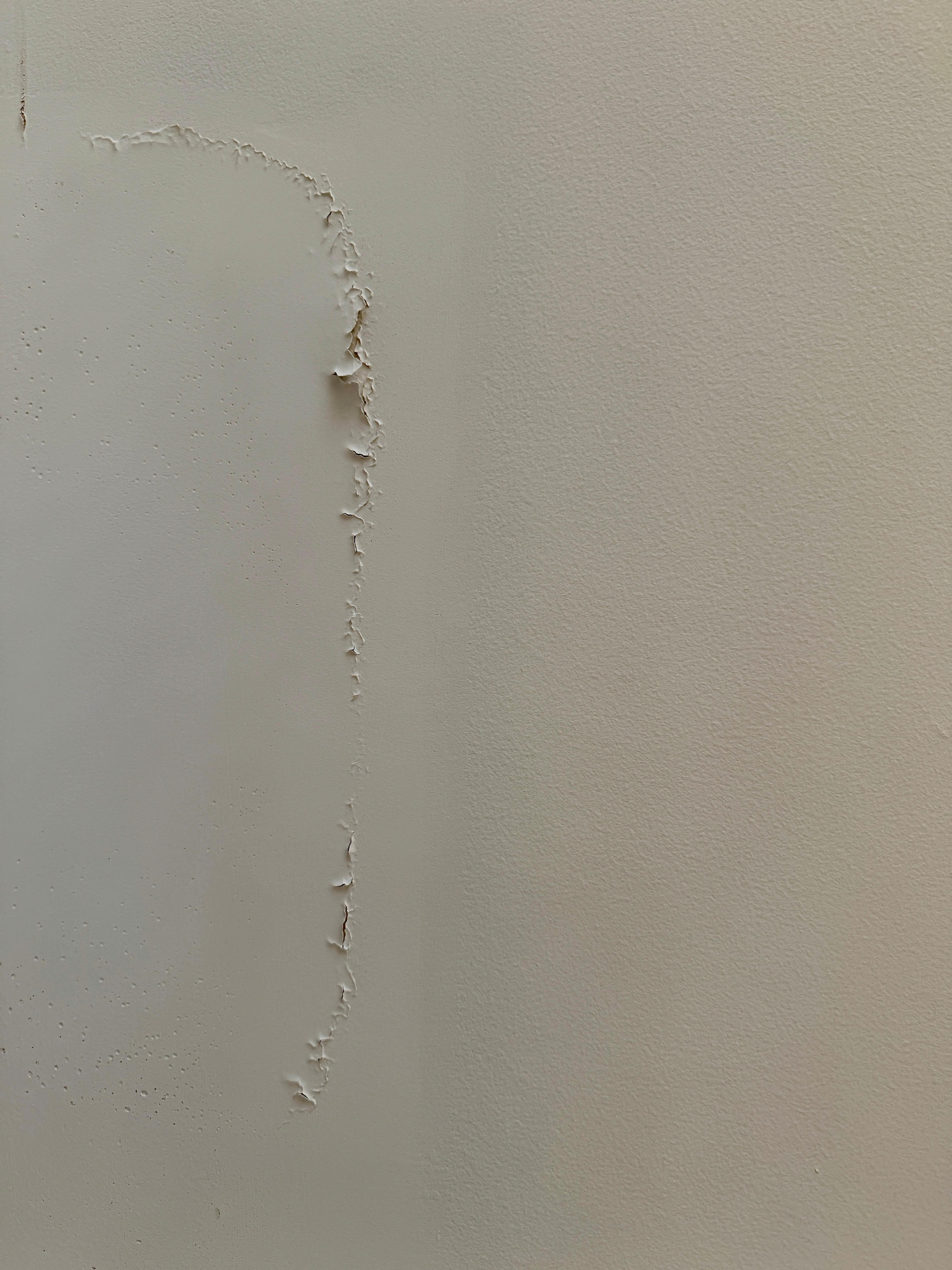 Peeling and patchy ceiling paint in room & bathroom