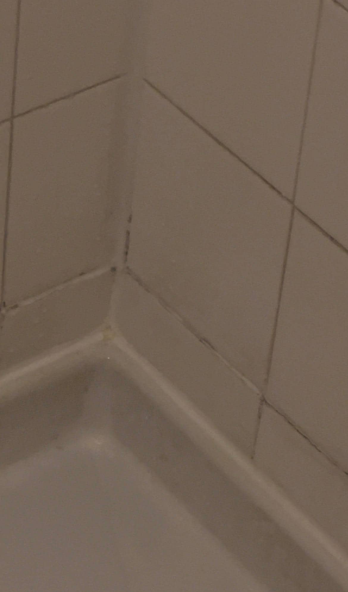 Mildew stained around the bases in the grout 