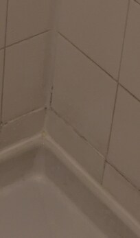 Mildew stained around the bases in the grout