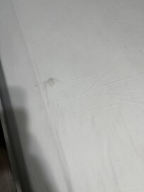 Sheet
